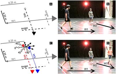 Collision Avoidance With Multiple Walkers: Sequential or Simultaneous Interactions?